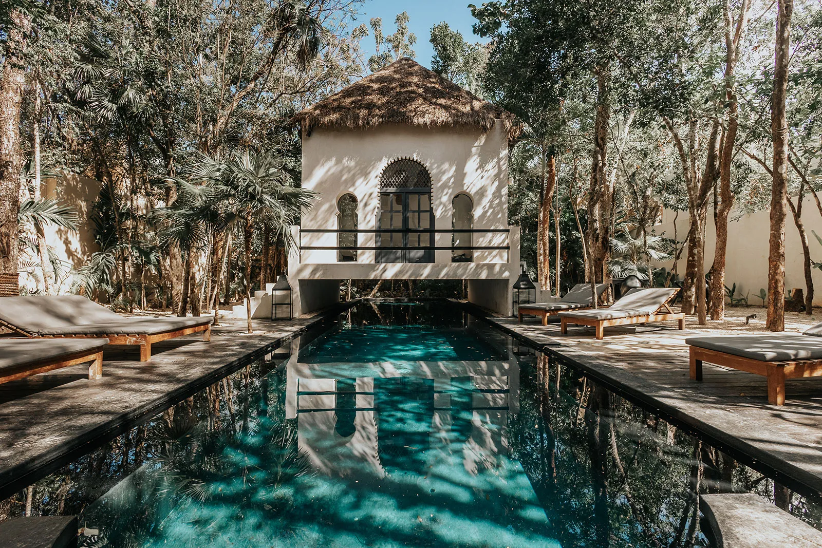 Ambre Epices Oasis